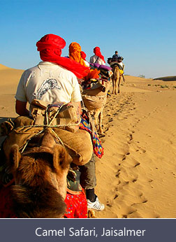 camel Safari, Jaisalmer