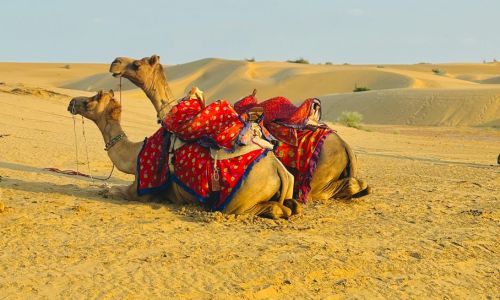 Desert With North India