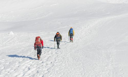 Singalila Dzongri Gochala Trekking Tour