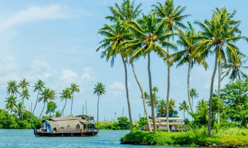 Wildlife And Backwater Tour