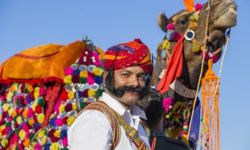 Camel Safari With Golden Triangle India