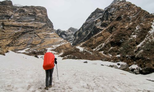 Singalila Dzongri Gochala Trekking Tour