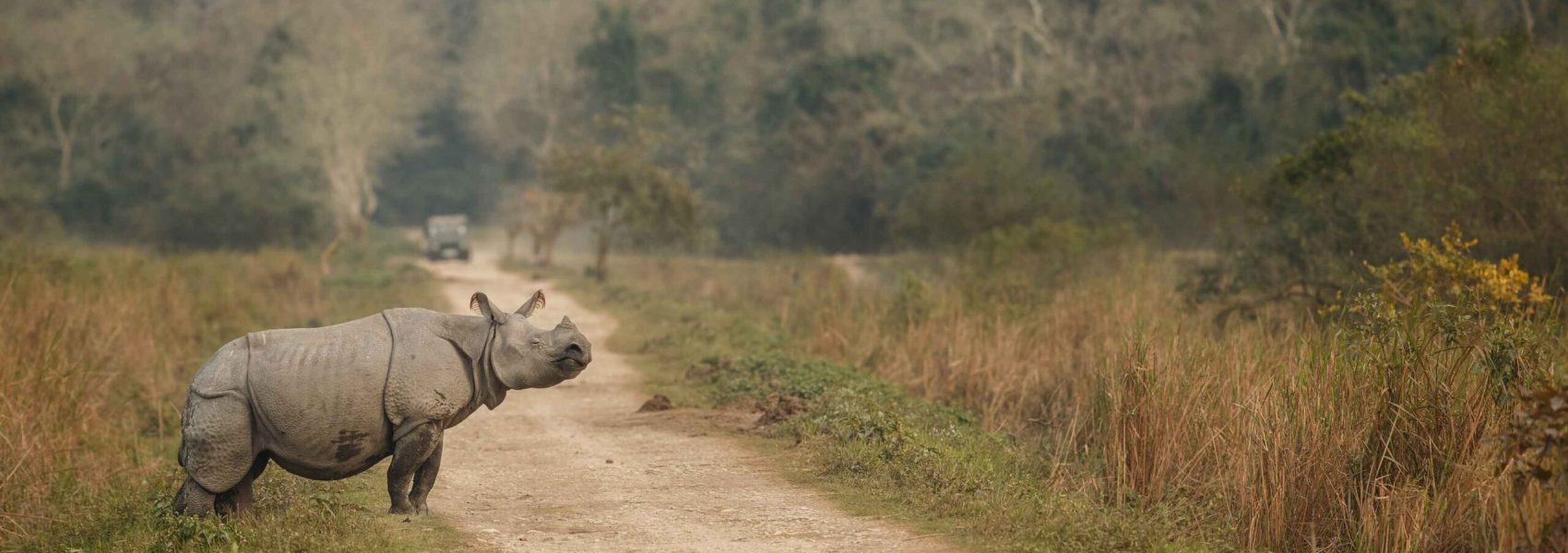 Indian Rhinos Wildlife Tour Package